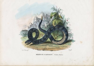 Serpente a sonagli del legno, 1863-79 da Raimundo Petraroja